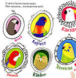 Папужка, фото 6