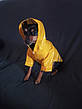 Жовтий дощовик для собаки RESTEQ, розмір XL. Непромокальний дощовик жовтого кольору для собак. Дощовик для свійських тварин, фото 3