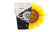 Насіння соняшника АРКОНА під гранстар (оптимум), фото 3