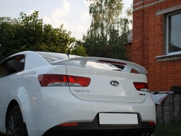Спойлер Дельфін для BMW, антикрило на БМВ