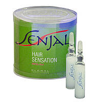 KLERAL SYSTEM Senjal Ampol Silk Двухфазные ампулы для восстановления волос 10 шт по 10 мл