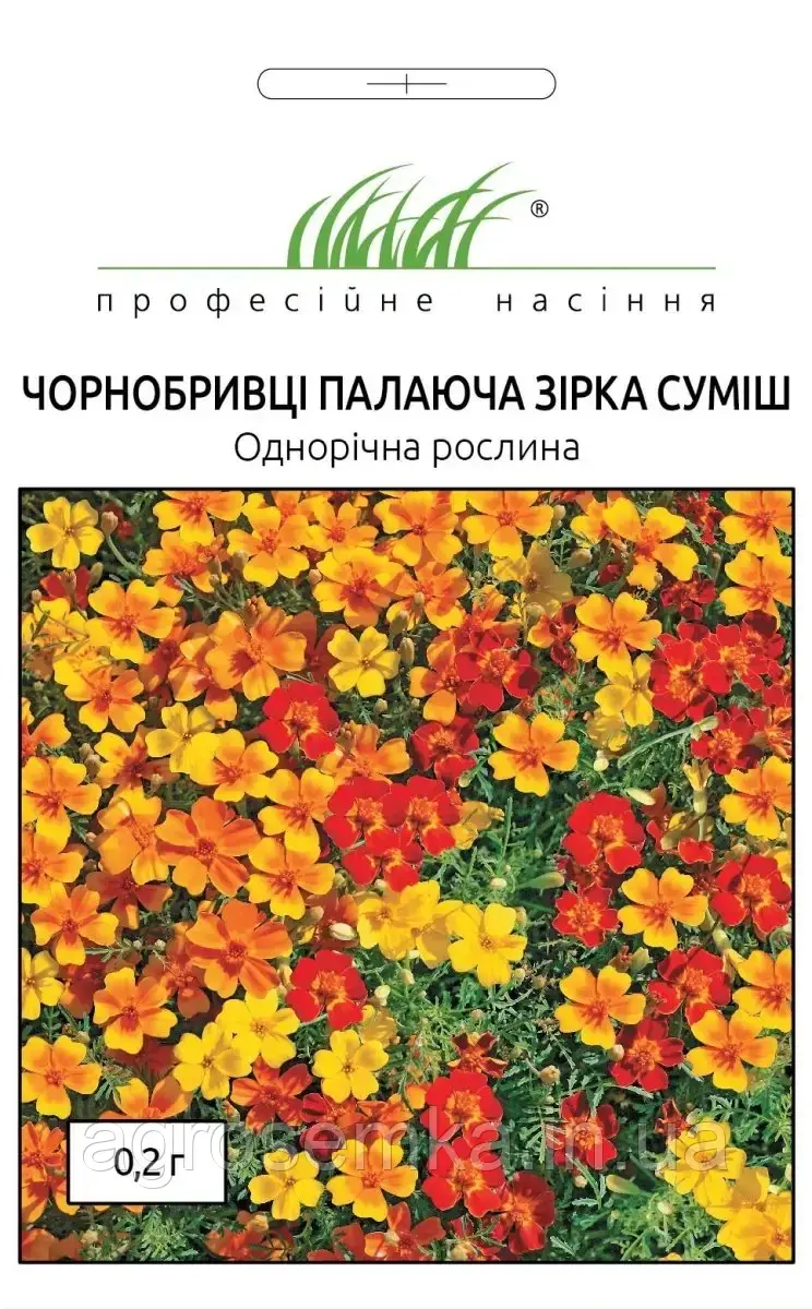 Чорнобривці дрібноквіткові Палаюча зірка 0.2г