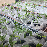 Горщики для розсади 100 мл Мішечки для розсади біорозкладні 0,1л Касети для розсади, фото 6