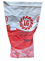 Озимий ріпак Аспект Limagrain