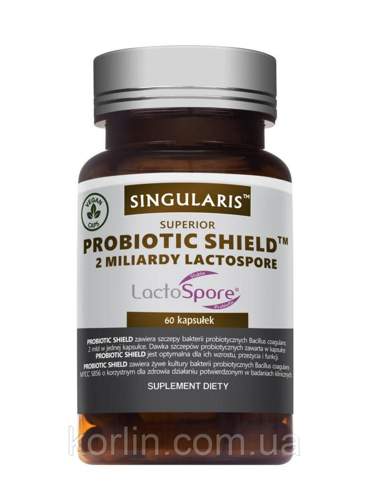 Пробіотик Пробіотичний Щит 60 кап Singularis Superior Probiotic Shield США Доставка з ЄС