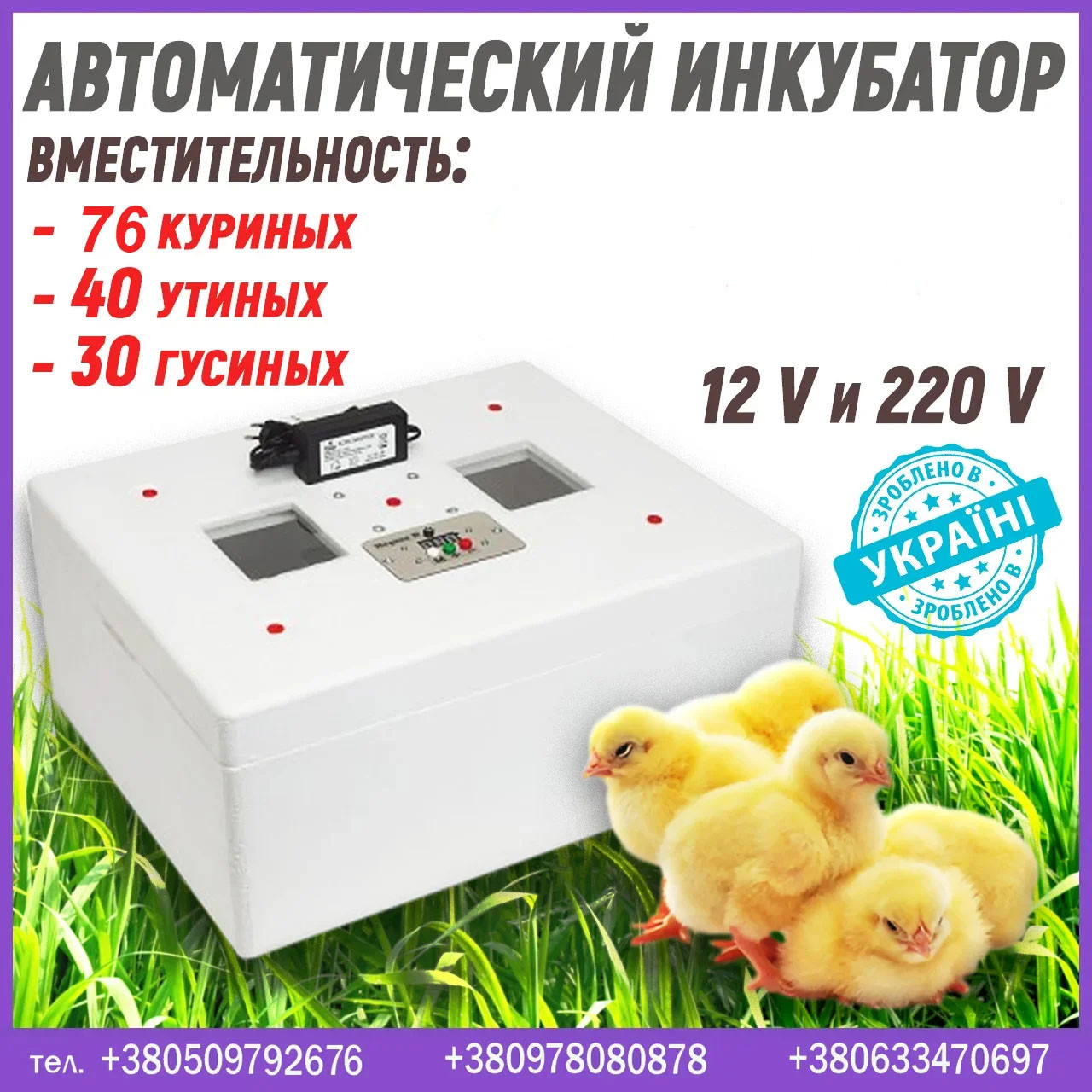 Автоматичнийзерунок на 12 і 220 вольтів