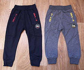 Спортивні штани для хлопчиків оптом, 4-8 років, арт. ZOL-CF299