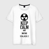 Футболка с принтом "Сталкер 2 (STALKER). Keep Calm" Push IT