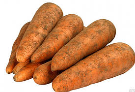 Морква не мита