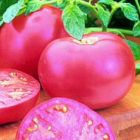 Насіння томату Пінк Леді F1 (Pink Girl F1) 500 насінин, Seminis (Голандія)