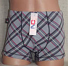 Боксери труси для хлопчика бавовна Ромб Польща Трусики Natural Club, фото 5