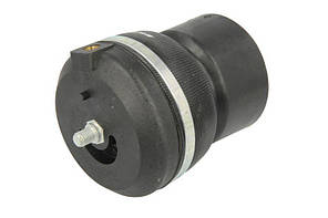 Пневморесора кабіни IVECO Eurotech 41019150