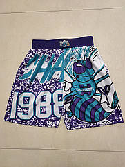 Фіолетові шорти баскетбольні Шарлотт Хорнетс Mitchell Ness  Charlotte Hornets ретро