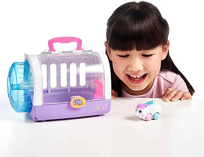 Hamster little live pets online