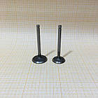 Клапан впускний випускний ДД170FS