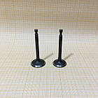 Клапана на двигун із вертикальним валом 1P70 dv200