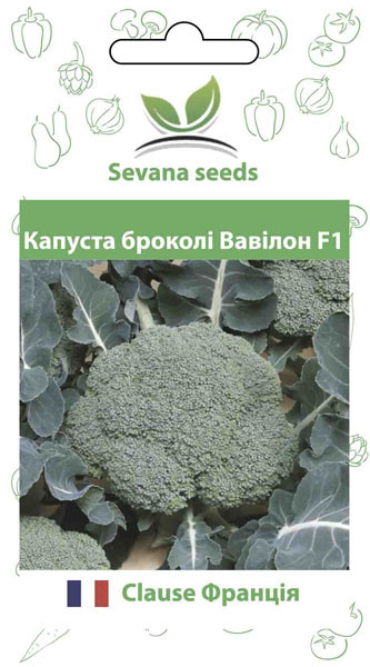 Насіння капусти брокколі Вавілон F1 20 насінин Clause, фото 1