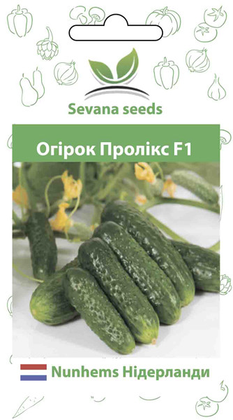 Насіння огірків Пролікс F1 10 шт. самозапильний НОВИНКА, фото 1