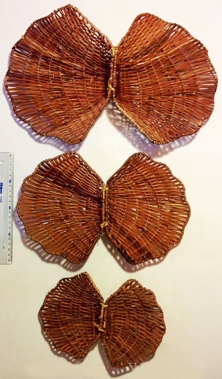 Декоративні мушлі, фото 1