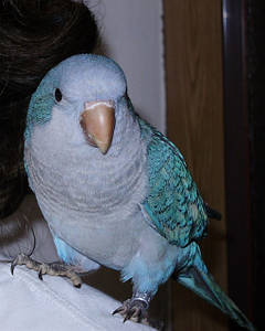 Секс Кузнецк Пенза