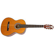 Класична гітара Epiphone PRO-1 CLASSIC 3/4, фото 9