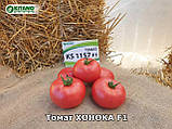 Хонока F1(KS 1157 F1) 10 шт насіння томату рожевого Kitano Голландія, фото 5