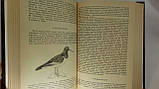 Аксаков С. Полювання пущі неволі (б/у)., фото 4