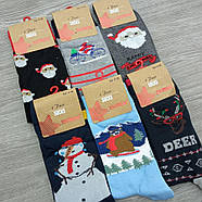 Шкарпетки чоловічі високі весна/осінь р.41-46 новорічні асорті "EKMEN" бавовна 30033192, фото 7