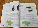 Червона книга України. Тваринний світ, фото 3