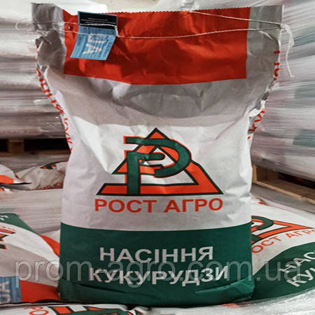 Семена кукурузы ДН Галатея ФАО 260 Рост Агро