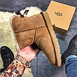 Жіночі коричневі короткі зимові замшеві UGG Mini Bailey Bow II з бантом мініовчина уги, фото 7