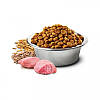 Farmina N&D Low Grain Dog Senior Medium & Maxi-з куркою і гранатом для собак середніх та великих порід старше 7 12.0, фото 5