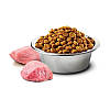 Farmina N&D Grain Free –Беззерновой корм з куркою, гарбузом і гранатом для дорослих собак середніх та великих, фото 5