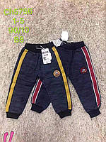 Спортивні штани на хлопчика оптом, S&D, 1-5 років, № CH-5756, фото 2
