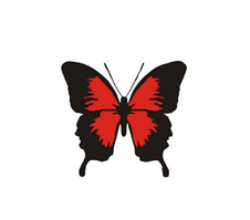 Наклейка на авто AIWA метелик 02519