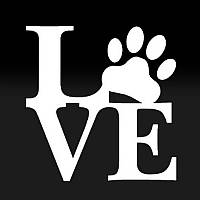 Наклейка на авто AIWA 02579