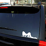 Наклейка на авто AIWA 02584, фото 2