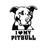 Наклейка на авто AIWA 02599