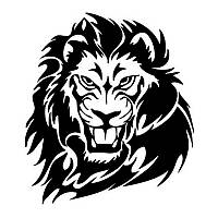 Наклейка на авто AIWA 02660