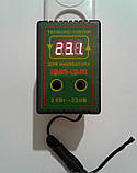 Терморегулятор цифровий  "ЦИП-ЦИП", фото 2