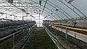 Теплиця "Фермер максі-12" 12х90 (крок арок 2 м), фото 5
