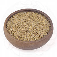 Пшеница озимая "Белокурая" 100 кг., вес в ассорт.