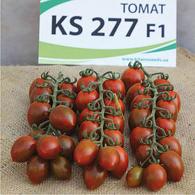 Насіння Томату КС 277 F1 / KS 277 F1-Kitano Seeds-5шт