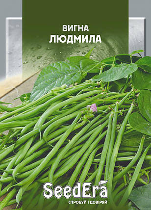 Квасоля Китайська Вигна Людмила 10г, Seedera, фото 1