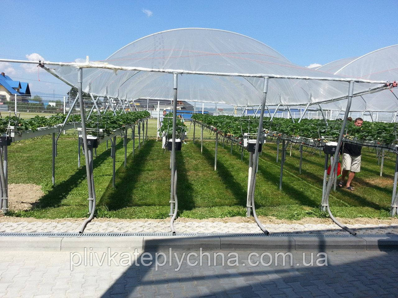 Плівка для вирощування полуниці KRITIFIL® 2497 (Греція)