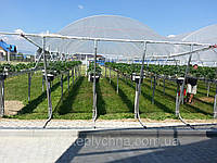 Плівка для вирощування полуниці KRITIFIL® 2497 (Греція)