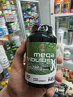 Трибулус AllSports Labs Mega Tribulus-X 2000mg 60tab