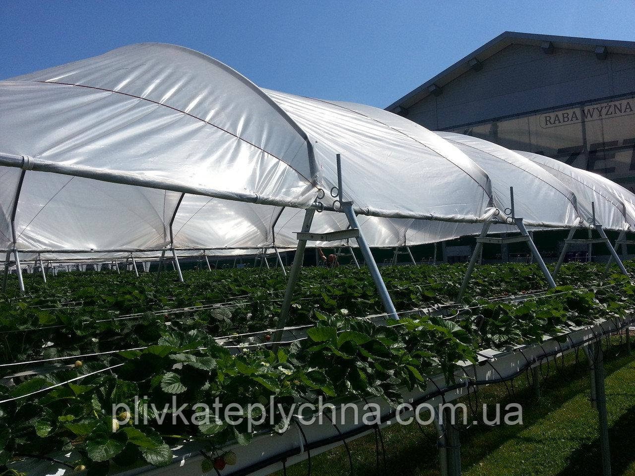 Плівка для вирощування полуниці KRITIFIL® 2598 (Греція)