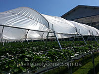 Плівка для вирощування полуниці KRITIFIL® 2598 (Греція)