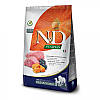 Farmina N&D Pumpkin GF Dog Lamb & Blueberry Adult Medium & Maxi - корм з ягнятком, гарбузом та чорницею 2.5 кг, фото 3